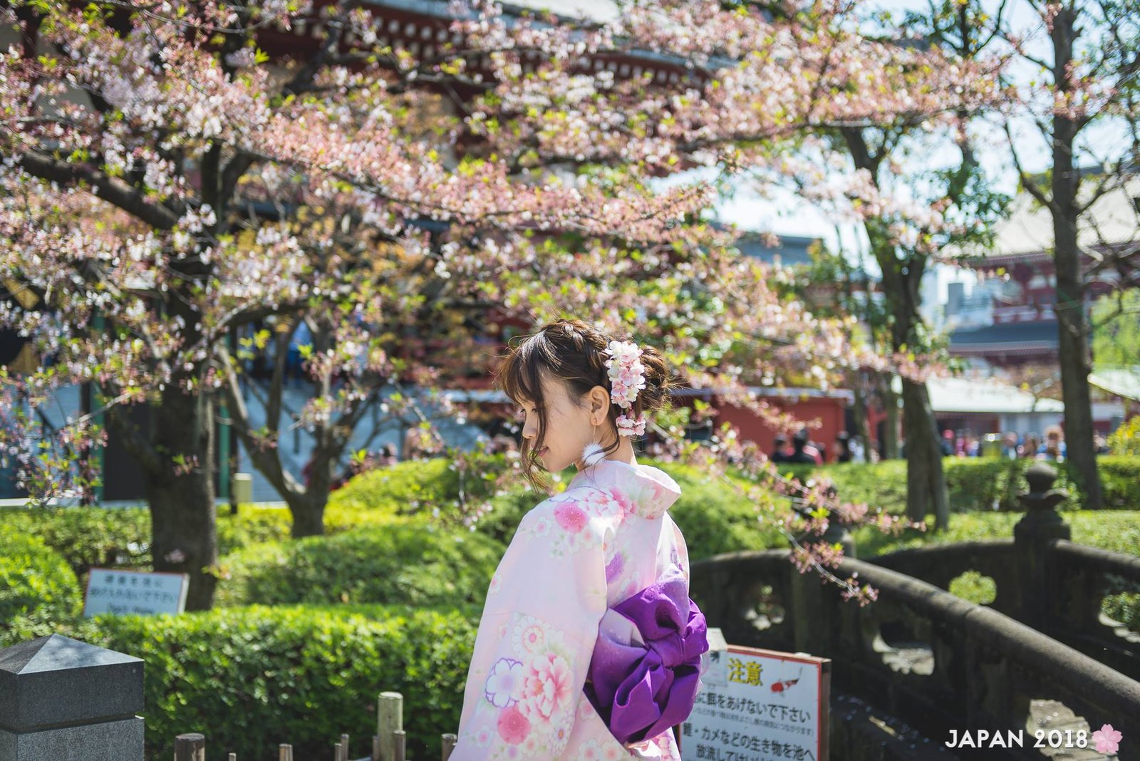 Kimono at Tokyo